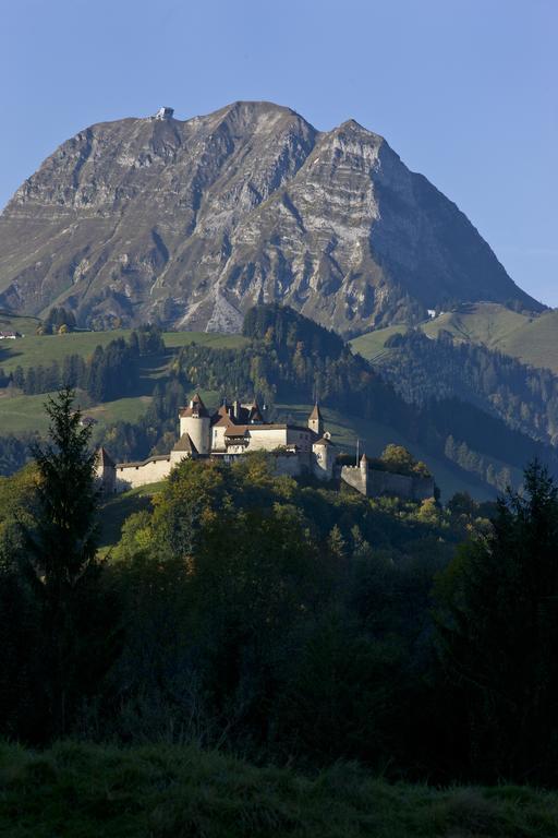 Hotel Rallye & Entrees Aux Bains De La Gruyere ビユール エクステリア 写真